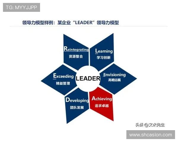 卓越企业家领导力与创新实践：成就商业成功与社会价值的智慧之道